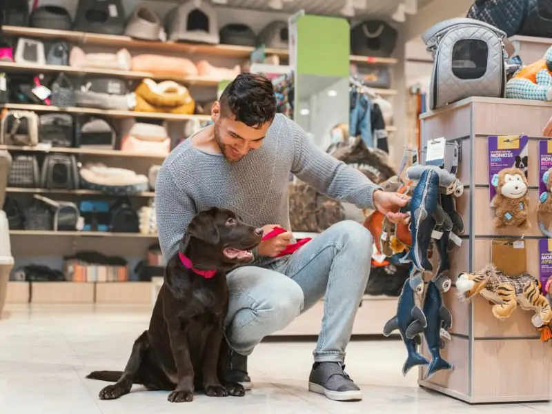 contabilidade para Pet Shop no Rio de Janeiro
